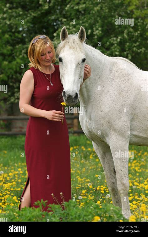 Mit den besten Tierpornos mit reifen Frauen abgehen